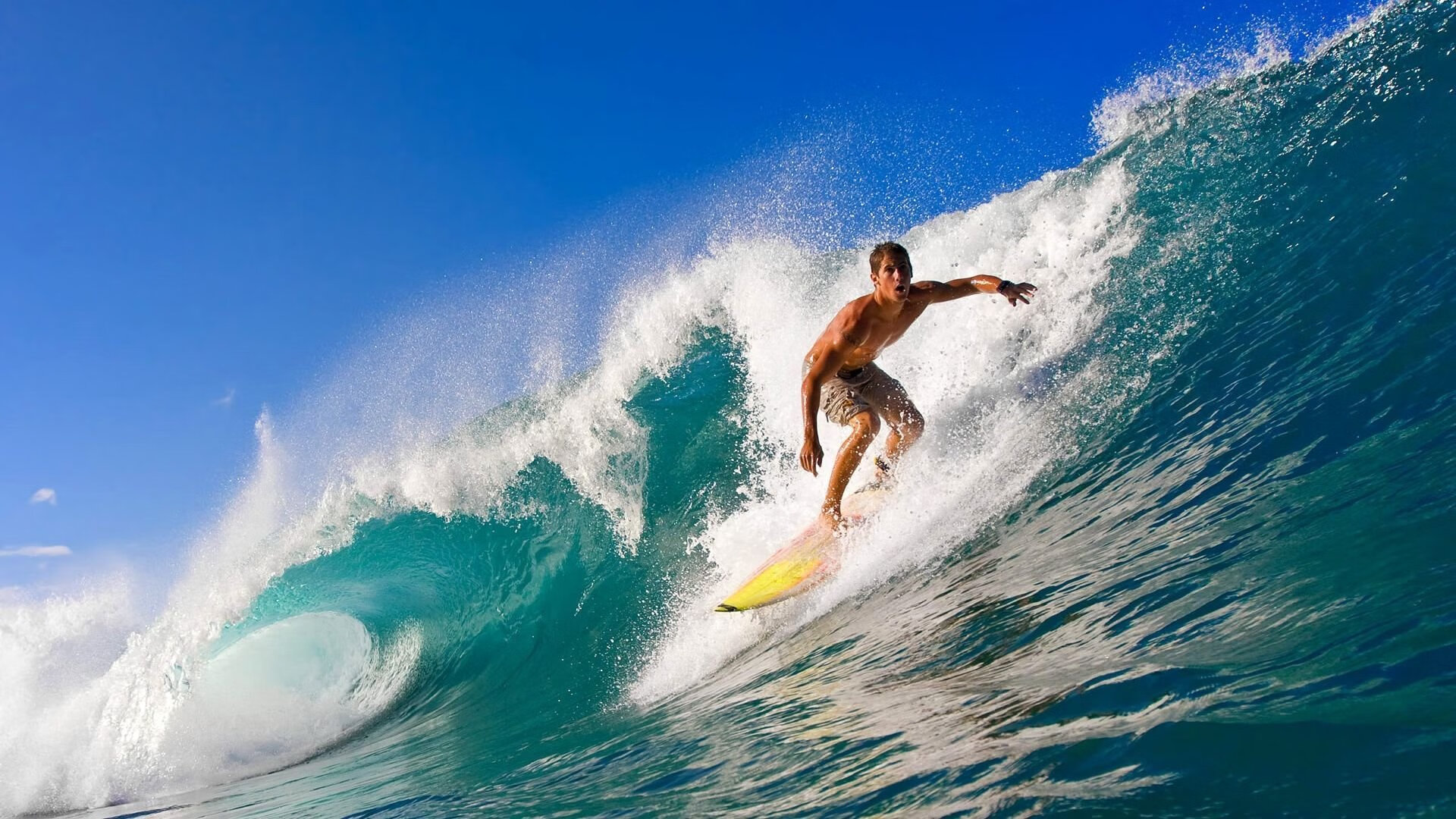 欧冠决赛焦点战,黄蜂一波带走勇士,战术革命颠覆绿茵秩序